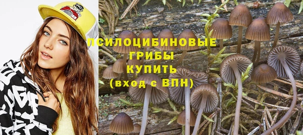 ALPHA PVP Ростов