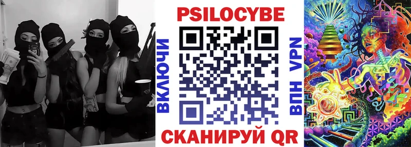 мега сайт  Курлово  Псилоцибиновые грибы Cubensis 