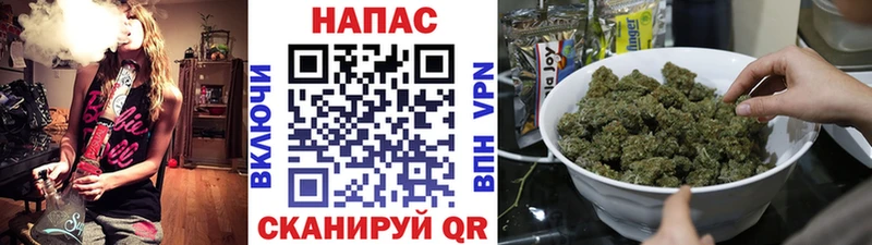 Шишки марихуана гибрид  Курлово 